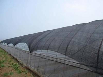 金属遮阳网 - 佛山市南海利泽五金筛网经营部图片3