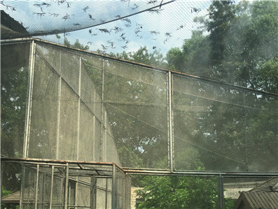 广州动物园 - 佛山市南海利泽五金筛网经营部图片2