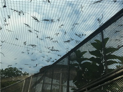 广州动物园 - 佛山市南海利泽五金筛网经营部图片3