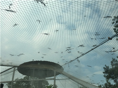 广州动物园 - 佛山市南海利泽五金筛网经营部图片4