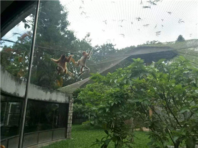 广州动物园 - 佛山市南海利泽五金筛网经营部图片6